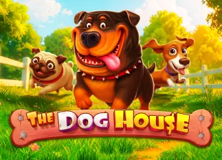 osaka55 The Dog House ทดลองเล่นฟรี